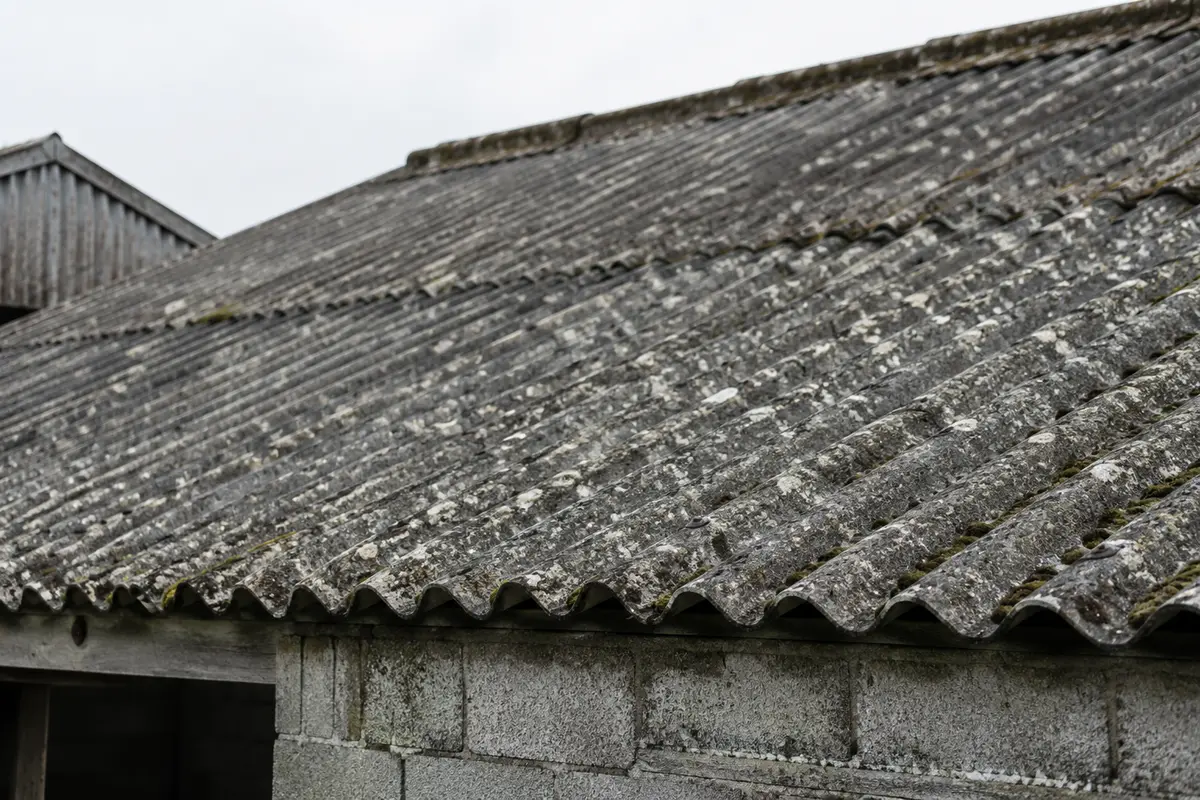 Weathered corrugated asbestos-cement roof sheets on an older Irish farm shed